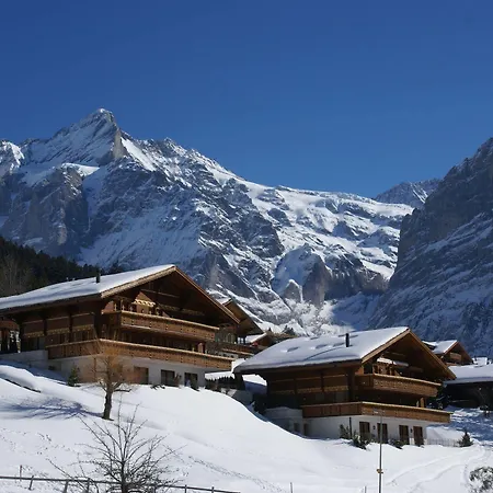 Apartment Baergbach 5.5 - Griwarent Ag Grindelwald